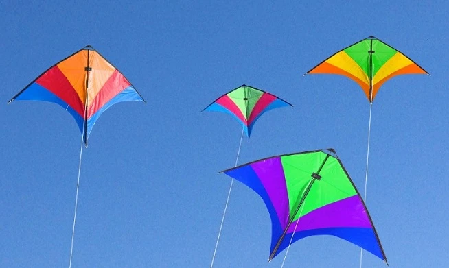 "La fiesta del viento" beneficiará a niños de Maldonado